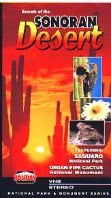 sonoran desert