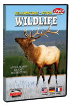 Yellowstone to yukon <br> Wild life of North America