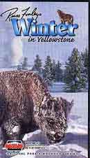 yellowstone